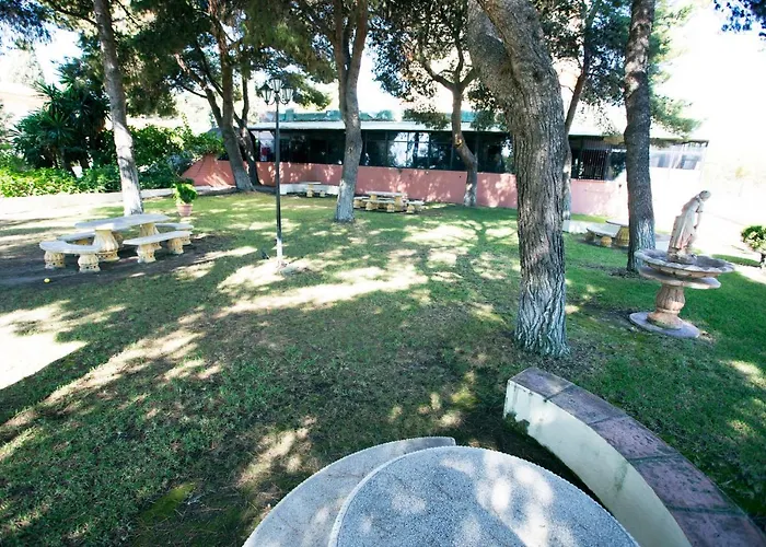 Monko Baobab * Torremolinos